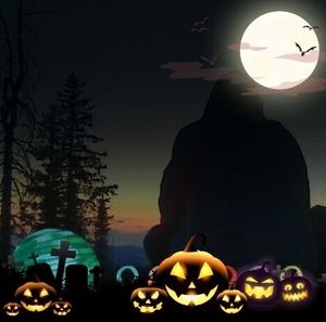 Meet your Posher, Zach